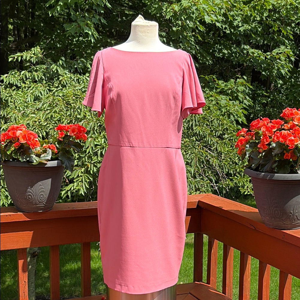 White House Black Market Pink Sheath Dress With Flutter Sleeves-Nwt